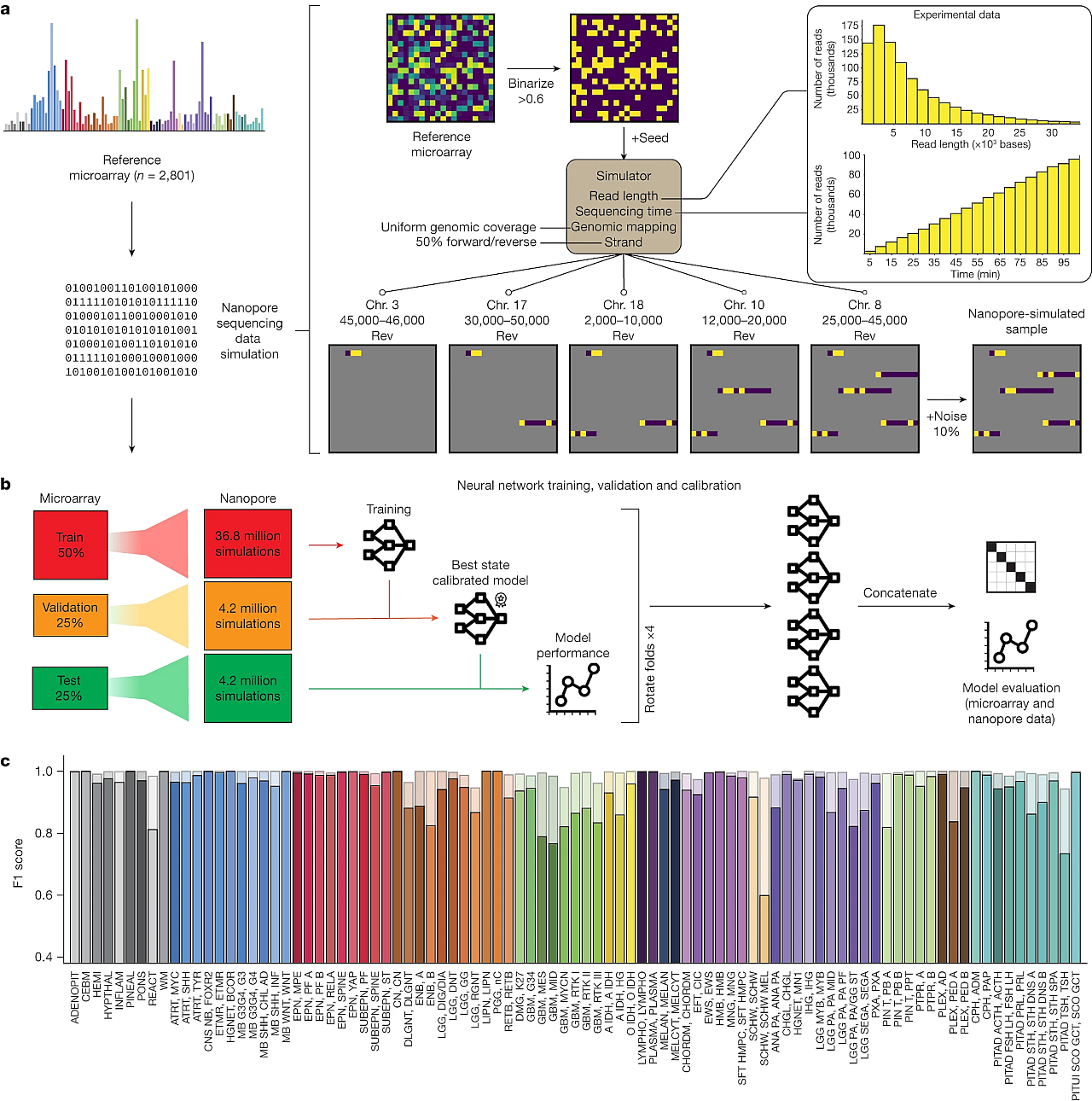 Fig. 1: Schematic representation of the simulation, cross-validation approach and results on simulated data.